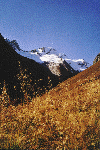 Herbst in der Venedigergruppe. Die Rötspitze gesehen vom Zustieg zur Clarahütte.