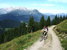 Auffahrt mit dem Bike zur Stuhlalm. Im Hintergrund das Tennengebirge.