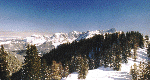 Gosaukamm-Panorama vom Gipfel der Brandlbergköpfe