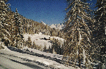 Aufstieg mit Gosakamm-Panorama durch eine märchenhafte Winterlandschaft.