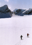 Weiter gehts über den flacheren Lisenser Ferner unter die Plattige Wand. Im Hintergrund die Rinnenspitze und der Habicht.