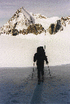 Im oberen Teil des Alpeiner Ferners. Blick nach Westen mit dem Schrankogel und seine NO-Flanke.